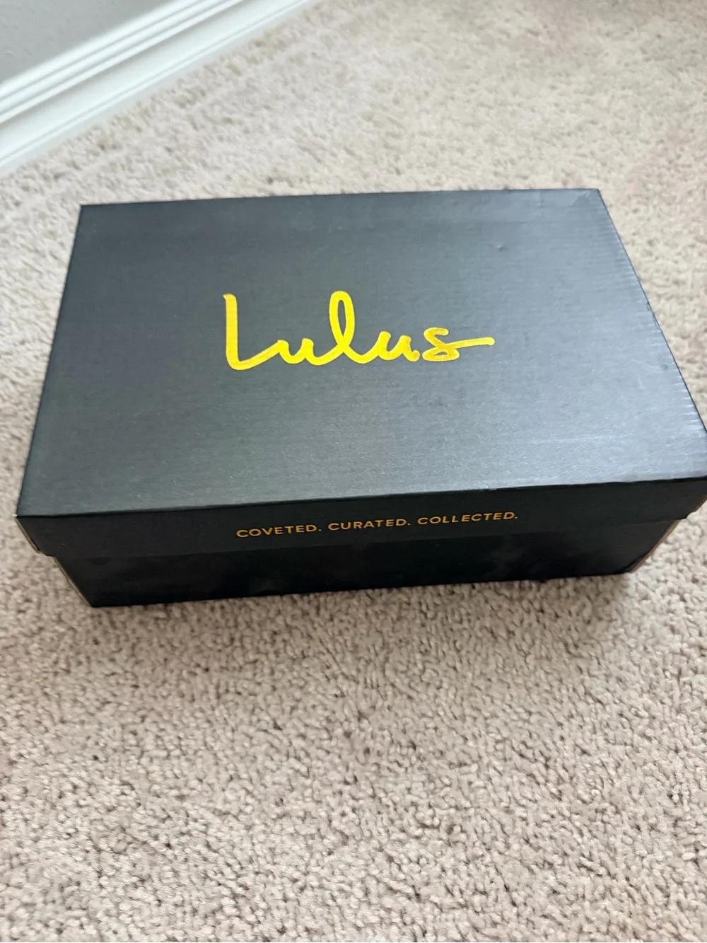 Lulus chic block